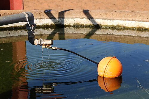 A tethered float switch — the cable-mounted on/off type used in sumps and tanks